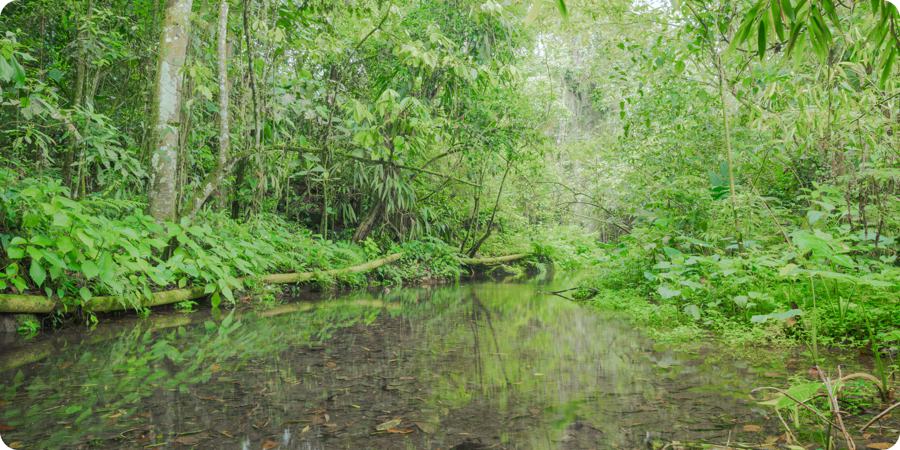 Quebrada de la vereda, fuente de agua para Santandercito